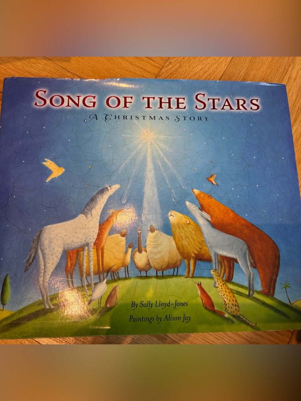 Song of the Stars Christmas book  - Blue Illustrated Design